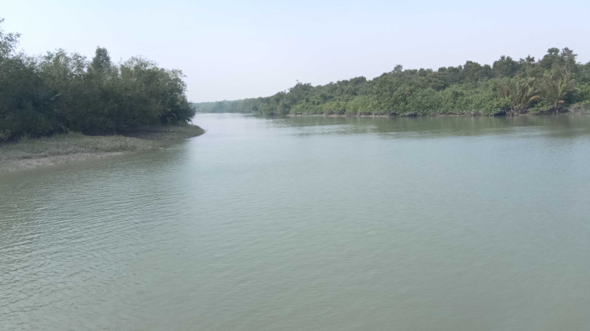 সুন্দরবন সুন্দরবন