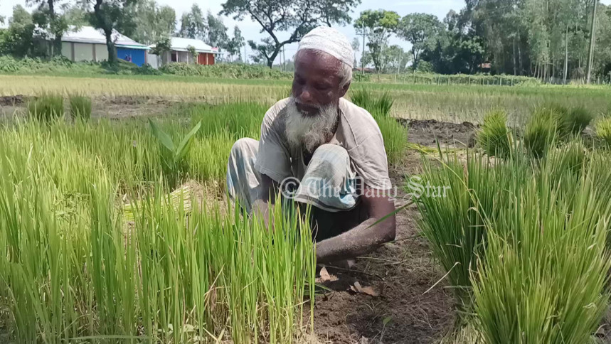 aman_4.jpg aman_4.jpg