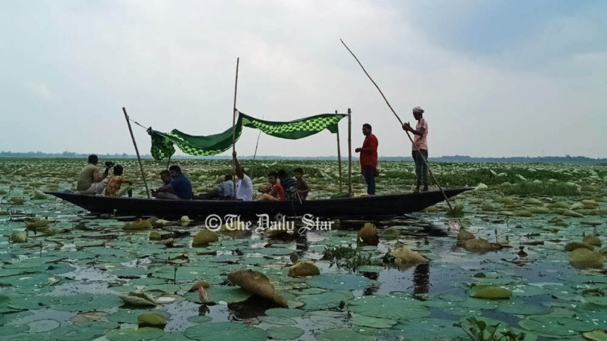 ডিকশির বিল ডিকশির বিল