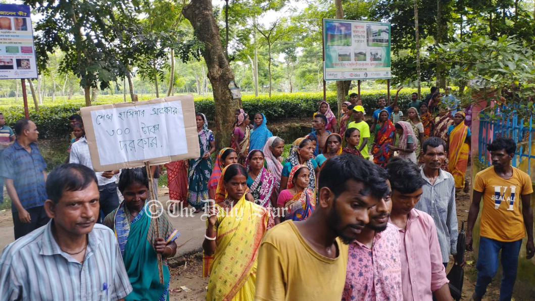 চা-শ্রমিক চা-শ্রমিক