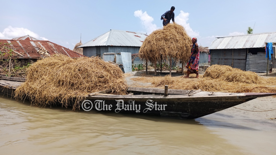 লালমনিরহাট খড় লালমনিরহাট খড়